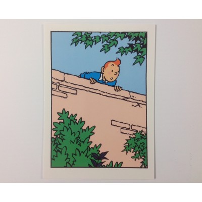 Carte - Tintin sur le mur